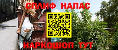 прущие крисы Бийск