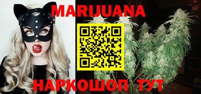 прущие крисы Бийск