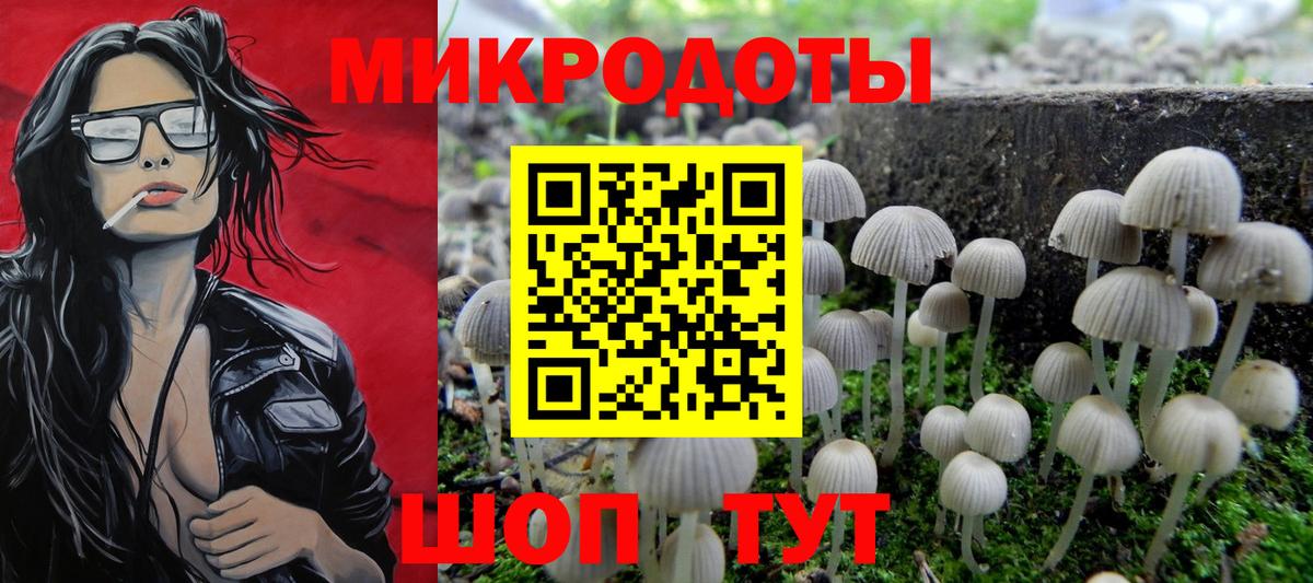 Ишим  купить  сайты  Вход с VPN  Псилоцибиновые грибы GOLDEN TEACHER 