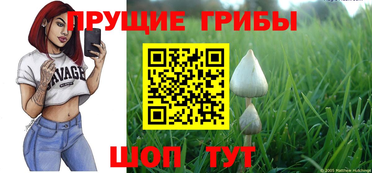 Псилоцибиновые грибы Magic Shrooms Ишим