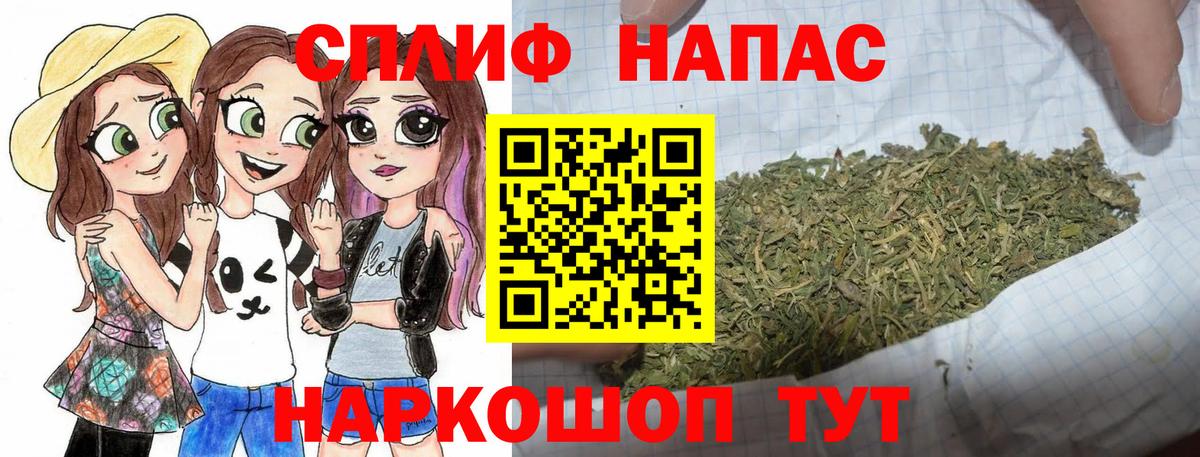 Канабис планчик Ишим